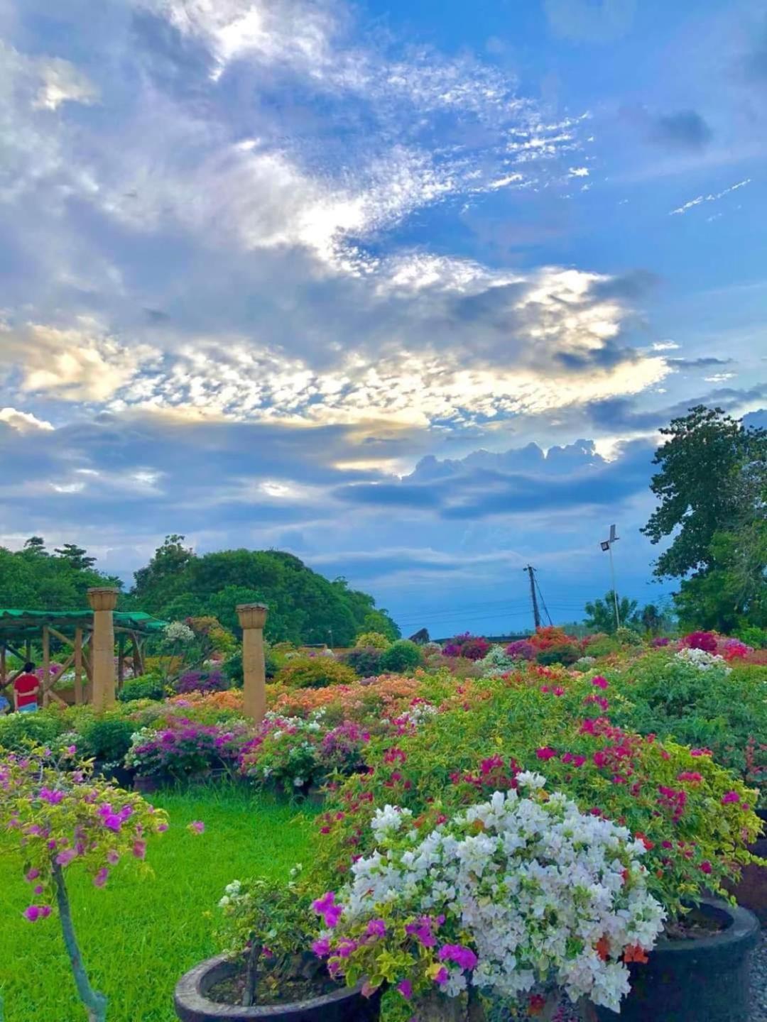 Beach Resorts Walking Distance To The Town House Davao Luaran gambar